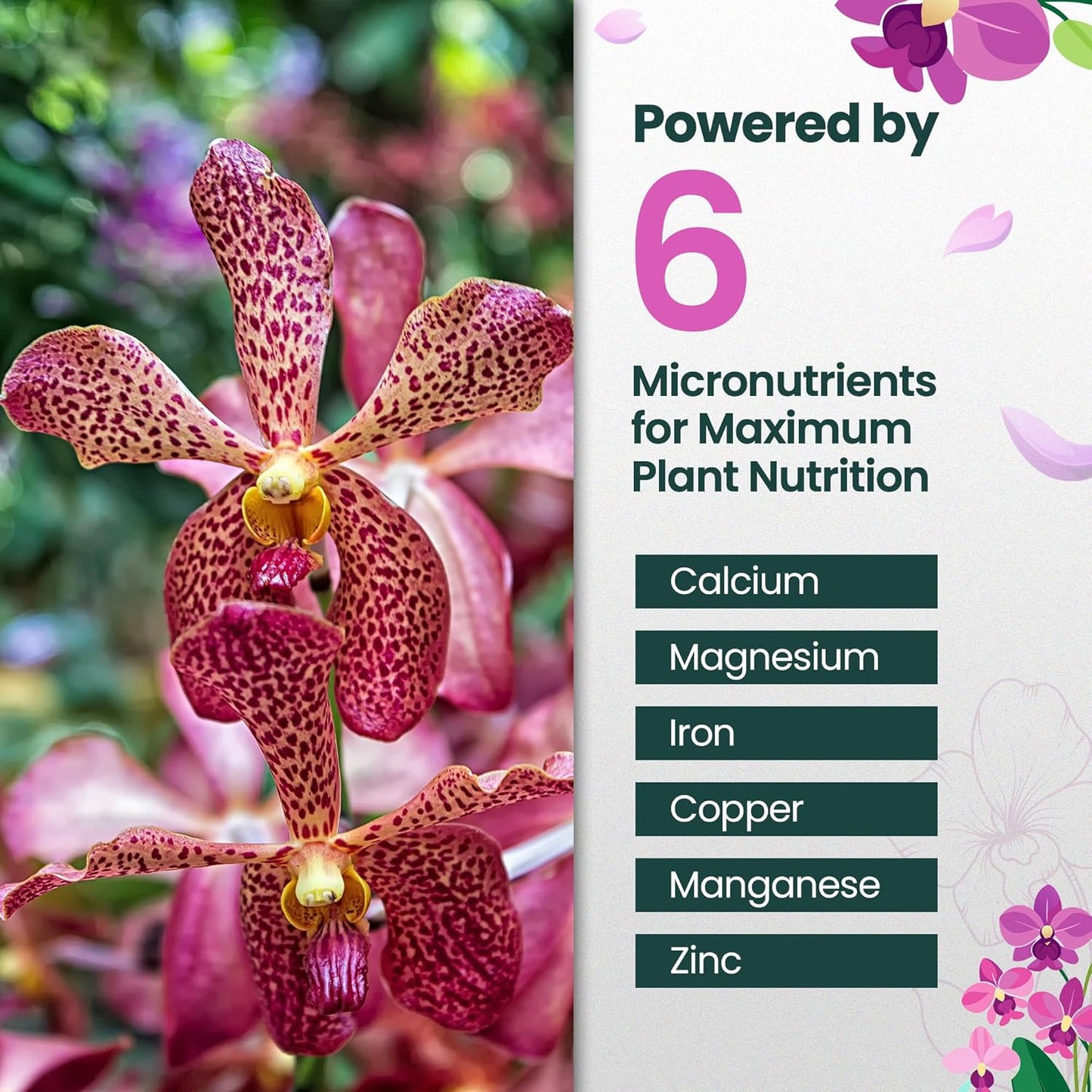 32oz Orchid Fertilizer - Makes 64 Gallons of Orchid Food, Indoor Plant Fertilizer for Orchids Indoors & Outdoors, Indoor Plant Food with Micronutrients for Vibrant Blooms and Strong Roots