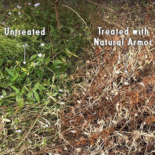 Natural Armor Weed and Grass Killer All-Natural Concentrated Formula. Contains No Glyphosate (128 OZ. Gallon Refill)