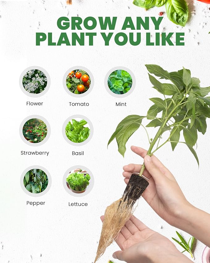 RAINPOINT 60pcs Grow Sponges for Hydroponics, Replacement Root Growth Sponges Compatible with All Indoor Gardening Systems, Seed Starter Pods for Hydroponic Indoor Garden System