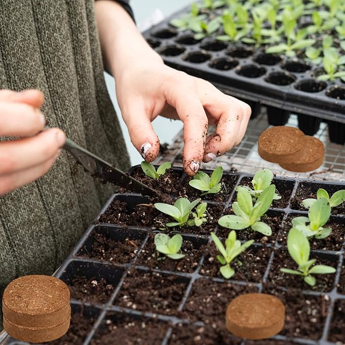 ZeeDix 50pcs(50mm) Coco Coir Pellets Potting Soil Indoor Plants, Compressed Coconut Coir Soil Pellets Seed Starting Pellets Discs for Planting Flowers Bonsai Herbs Plants and Vegetables