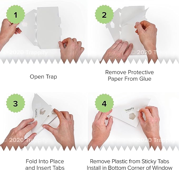 Trappify Fly Trap Indoor: Window Fly Traps for Home | Fruit Fly Traps for Indoors, Gnat Traps for House Indoor | Disposable Fly Trap with Sticky Adhesive Strips | Inside Bug Catchers (8 Pack)