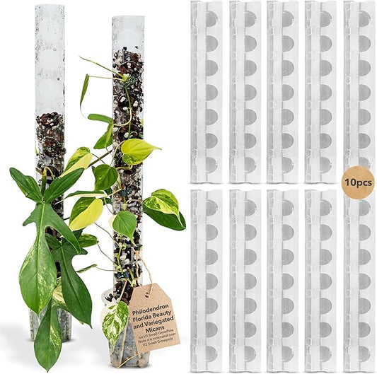 V3 Small GrowPole - Front Opening, Stackable Plastic Moss Poles for Climbing Plants, Monstera Plant Support-Plant Climbing Pole, DIY Plant Support, Works for Philodendron & Anthuriums - 10 Pcs