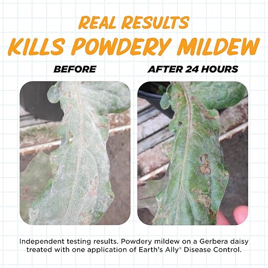 Earth's Ally Disease Control Concentrate for Plants Concentrate 32 oz | Fungicide Treatment for Powdery Mildew, Blight, Black Spot, Fungus - Use on Plant & Rose Diseases & More