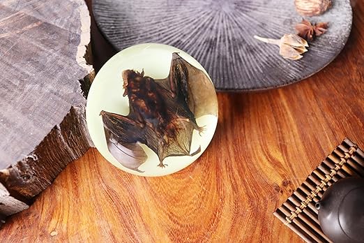 Real Bat Specimens, Resin Animal Specimens, Animal Skulls, Quirks, Biology, for Animal Specimen Enthusiasts, Science Classroom Science Education (Luminous Bat 3.5x3.5x1.5 inch)