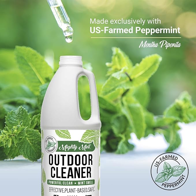 Mighty Mint Outdoor Cleaner, Powerful | Bleach-Free | Biodegradable, Cleans Stains on Wood, Decks, Concrete, Patios, and Vinyl Siding, Natural Mint Scent, 32oz