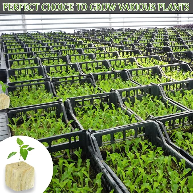 Legigo 2 Inch Rockwool Cubes for Hydroponics Seed Starter, Rock Wool Planting Cubes Hydroponic Garden Grow Plugs for Soilless Cultivation Plants Cutting Germination Clone(2 Sheet, 96 Plugs)
