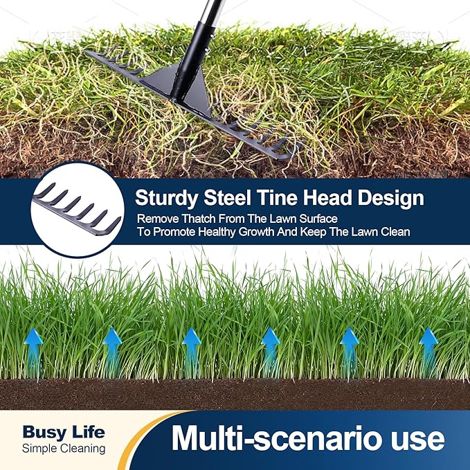 Yocada Thatch Rake 15.7" Steel Lawn Thatching Rake Heavy Duty Grass Grooming Tool for Garden Yard Soil Loosening Lawn Cleaning 62" Tall