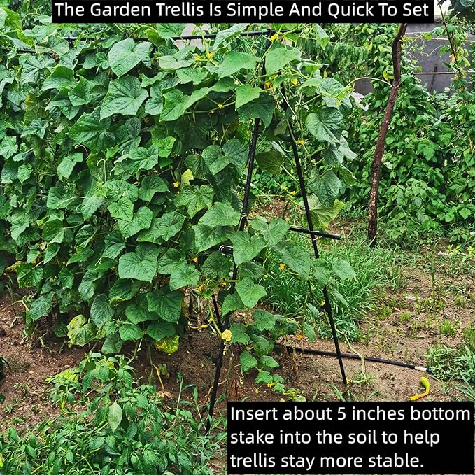 Cucumber Trellis 69.8" H x 36" W, A Frame Garden Trellis for Raised Bed Climbing Plants Metal+PE Coated Grow Support for Vines, Vegetables