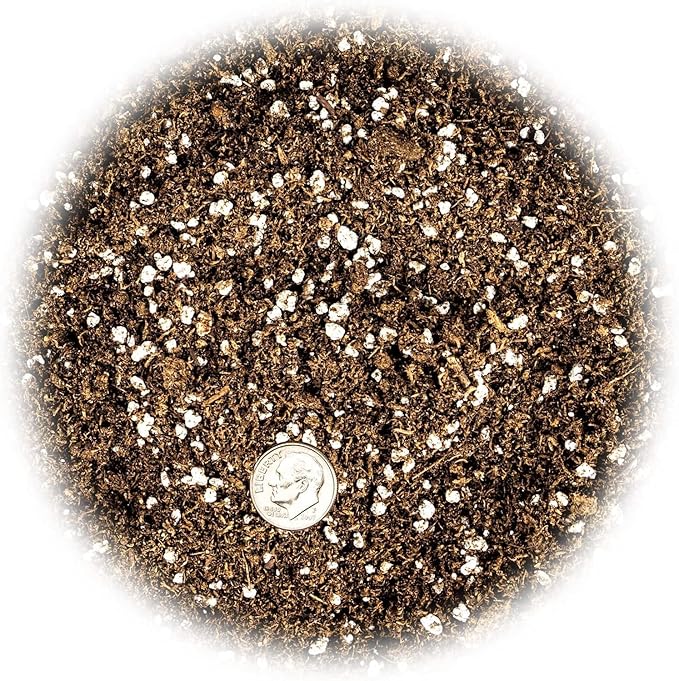 Premium Apricot Potting Soil Mix - Ideal Nutrient Blend for Growing Robust, Flavorful, and Bountiful Apricots - 1 Quart