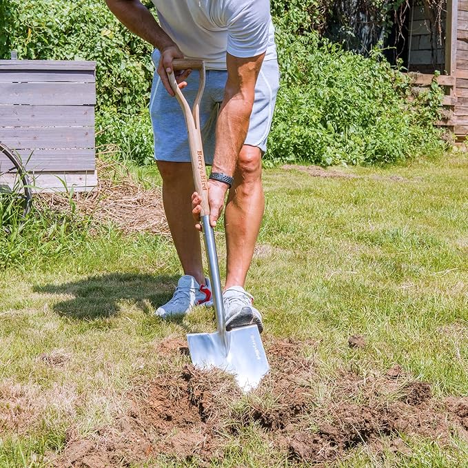 Berry&Bird Shovels for Digging, 43’’ Round Spade Heavy Duty Shovel with Wooden D Handle Stainless Steel Snow Shovel Garden Shovel Yard for Transplanting & Outdoor
