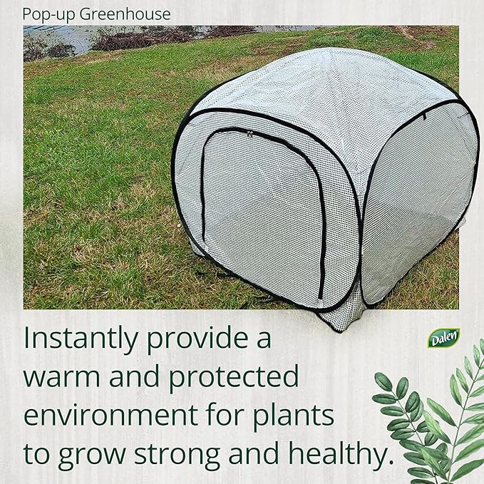 Dalen Pop-Up Mini Greenhouse - Easy Setup and Storage – 39”W x 39" L x 36" H - Special Venting Window to Ensure Breeze
