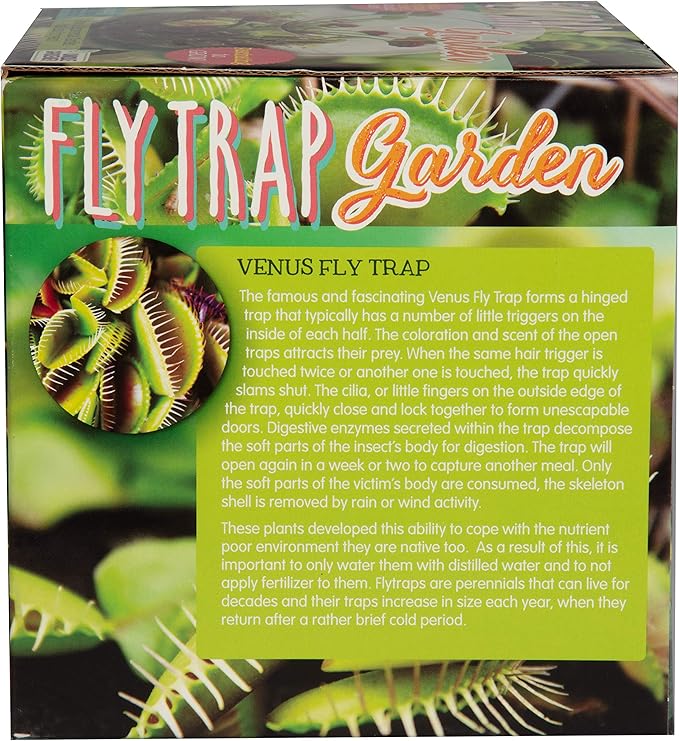 Carnivorous Fly Trap Glass Terrarium Garden Kit by Unique Gardener, Plant Terrarium Starter Supplies for Indoor Gardening - Watch Jaws Snap Shut - Easy & Fun Flytrap Planting Lasts for Years!