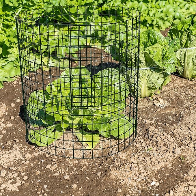 12 Packs 14'' Dia x 14'' H Plant Wire cage 24 Pcs Metal Plant Protection Mesh Plant Cages Bunny Barricades Plant Protection Wire Cage for Flowers Vegetables Protection from Animals
