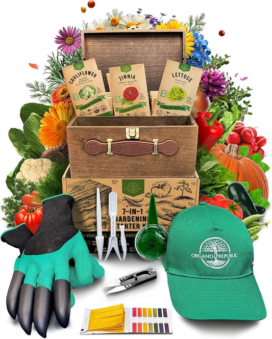 Medicinal & Tea Herb Seeds Variety Pack for Indoor & Outdoors - 75 Variety Pack. Non-GMO Heirloom Garden Seeds: Rosemary, Cilantro, Basil, Oregano, Parsley, Dill, Lavender, Catnip, Dill, Calendula