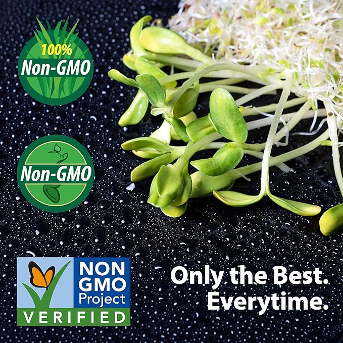 Organic Broccoli Sprout Growing Kit – Includes 316 Stainless Steel Lid, Stand, and Non-GMO Seeds – Complete Kit by Handy Pantry & Trellis + Co