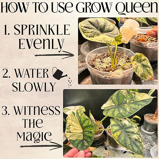 Organic Plant Food, Indoor Plant Food for Houseplants & Aroids, Organic Fertilizer for Flower & Vegetable Gardens, 1lb = 25 Servings, Feeds 50 gal Instantly and Slow Release