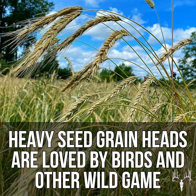 Last Resort Blend, 12LB EcoPack, Winter Food Plot Seed for Deer, Cereal Grain Rye, Wheat, Barley, Triticale & Oat Seeds Grow Whitetail & Turkey Attractants & Cold Hardy Hunting Food Plots