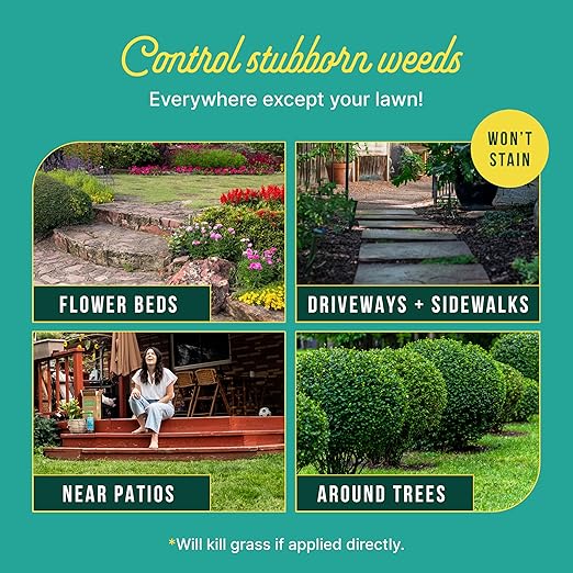 Sunday Weed Warrior, 32oz, 2 Pack - Grass & Weed Killer - Organic, Ready-to-Use Weed Killer Spray - Herbicide Spot Treatment - Kills Weeds, Grass, Algae and Moss