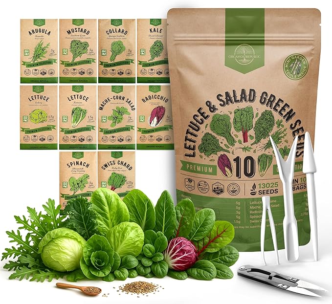 Organo Republic 10 Lettuce & Salad Greens Seeds Variety Pack 13000+ Non-GMO Heirloom Lettuce Seeds for Planting Indoors & Outdoors Garden, Hydroponics - Arugula, Radicchio, Kale, Spinach, Swiss Chard