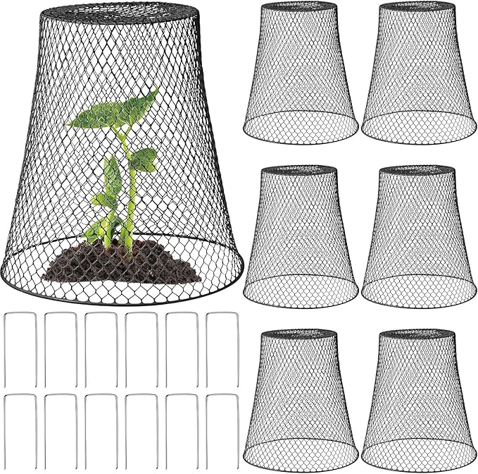 Therwen 6 Pcs Large Chicken Wire Cloche Plant Protector Cover 11x12 Inch Metal Garden Cloche Dome for Plants Wire Protection Basket with Garden Stakes Plant Cages from Animals (Black)