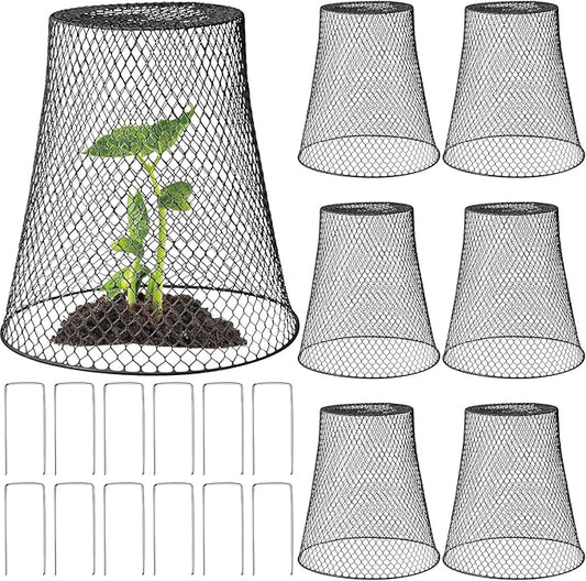 Therwen 6 Pcs Large Chicken Wire Cloche Plant Protector Cover 11x12 Inch Metal Garden Cloche Dome for Plants Wire Protection Basket with Garden Stakes Plant Cages from Animals (Black)