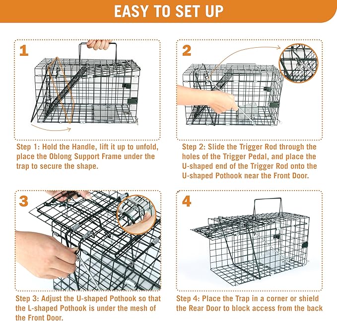 HOMESTEAD Collapsible Live Trap 14in – Small Animal Trap Cage for Red Squirrels, Adult Rats, and Small Weasels with 1″ Mesh Wire