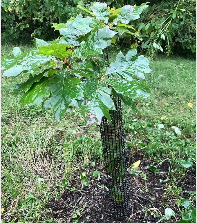 Mesh Tree Bark Protector Guard 36 Inches Tall (5 Pack) Heavy Duty Plastic with Zip Ties