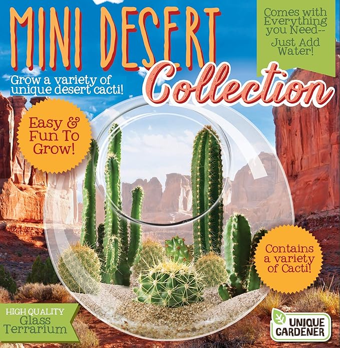 Cactus Succulent Glass Terrarium Starter Kit from Unique Gardener - Grow Your Own Indoor Desert Terrariums - Includes Live Cacti Plants and Easy Setup with Complete Terrarium Supplies