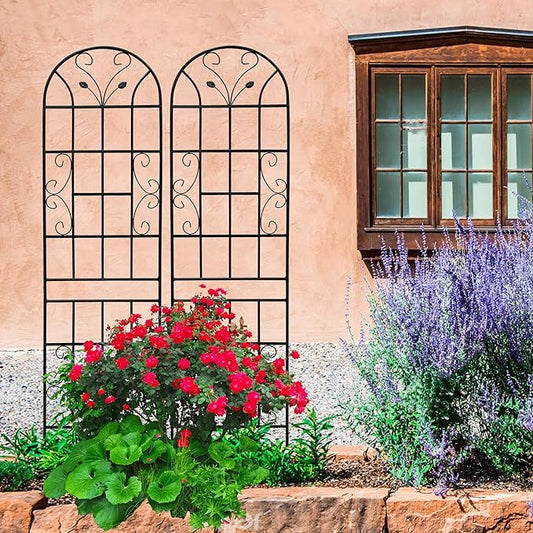 2 Pack Metal Garden Trellis 86.7" Tall Outdoor Climbing Plant Support for Roses, Flowers, Rustproof Durable Black Galvanized Tube, Lawn Garden Fence Decor Screen (2, Black curves-86.7" H)