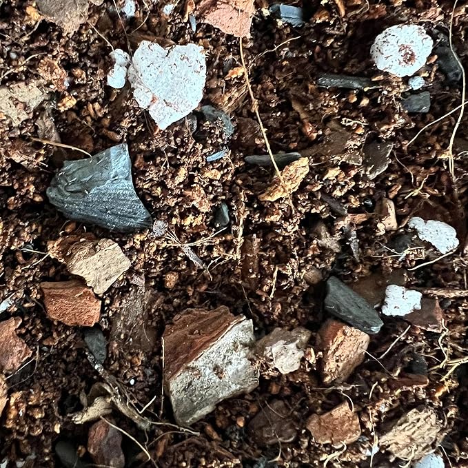 rePotme Fig & Ficus Potting Soil - Imperial Houseplant Mix - Standard Bag (8 Quarts) - Great Potting Mix for Indoor Plants