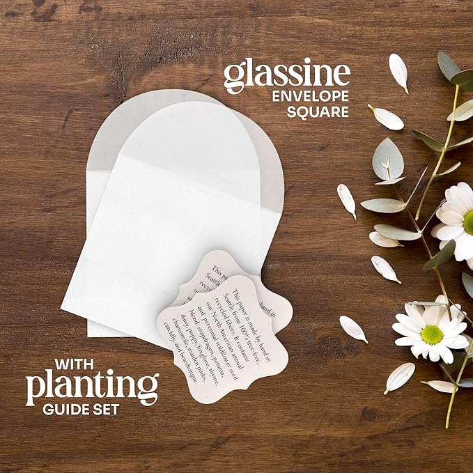 Set of 24 Pink Butterfly – Plantable Seed Paper Embedded with Wildflower Seeds for Bridal Shower, Wedding Gift, Birthday, & Other Milestone Celebrations