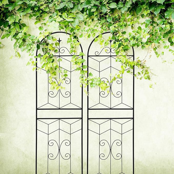 2 Pack 71x20in Garden Trellises with Black Metal Coating, Trellis for Climbing Plants Outdoor, Roses, Vines, Flowers, and Vegetables.