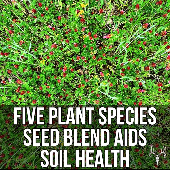 Branson’s Buffalo Blend, 12LB EcoPack, Whitetail Food Plot Seed for Deer, Turkey, Pheasant, Dove, Elk & Duck, Plant Seeds Grow Forage to Feed & Attract Wildlife to Hunting Plots, No Till