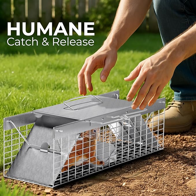 HOMESTEAD Live Rat Trap Indoor/Outside - Squirrel Trap, Have A Heart Animal for Chipmunk, Small Rabbits, Weasel and Similar-Size Rodents, 18"x5"x5", 2 Doors, Fully Assembled
