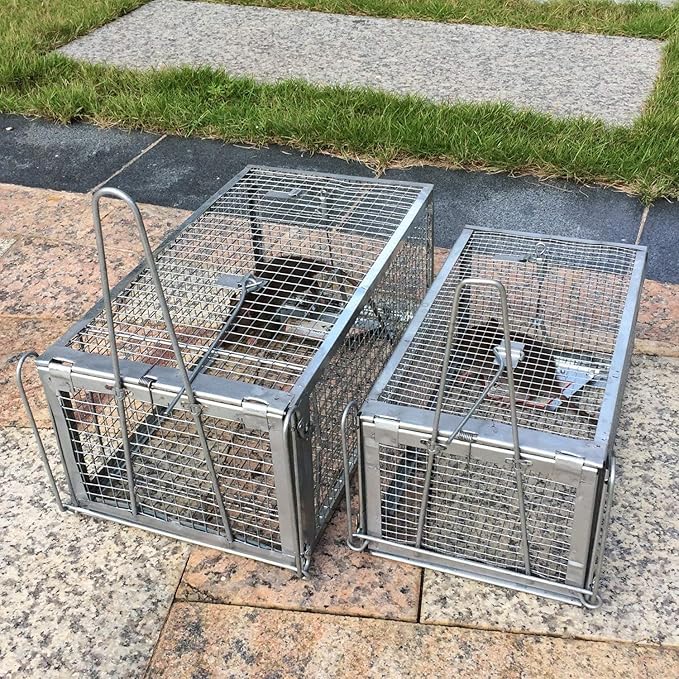 Kensizer Animal Humane Live Cage Trap That Work for Rat Mouse Chipmunk Mice Voles Hamsters and Other Small Rodents, Trampa para Ratones, Catch and Release 1Pack Medium 12" L x 6.5" W x 5" H