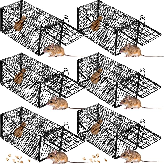 Qualirey 6 Pcs Humane Rat Trap Small Chipmunk Mouse Squirrel Cage Rodent Animal Mice Voles Hamsters Cage Catch and Release Trap for Home Garden Indoor Outdoor(10.6 x 5 x 5 Inch)