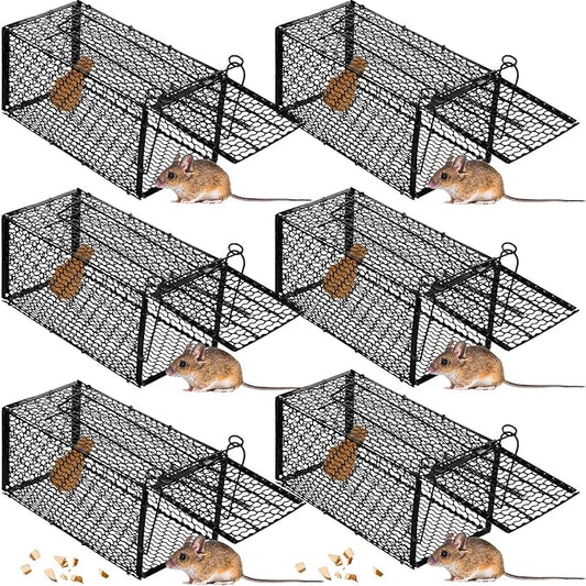 Qualirey 6 Pcs Humane Rat Trap Small Chipmunk Mouse Squirrel Cage Rodent Animal Mice Voles Hamsters Cage Catch and Release Trap for Home Garden Indoor Outdoor(10.6 x 5 x 5 Inch)