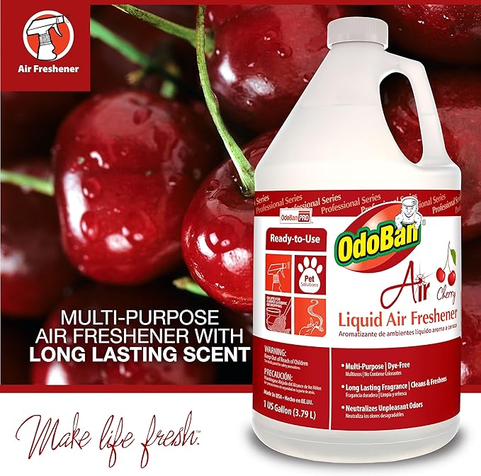 OdoBan Fogmaster Jr. Electric Handheld Fogger and Liquid Air Freshener, 1 Gallon, Cherry Scent