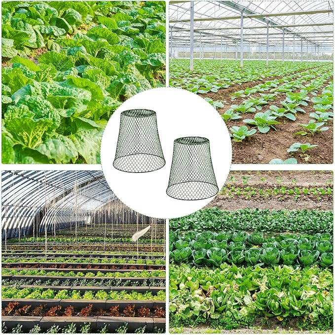 20 Pcs 11inch Chicken Wire Plant Covers,Wire Garden Cloches Chicken Wire Cloche Plant Protector Metal Heavy Duty Garden Plant Cloche for Keeping Bunnies Chicken Squirrels Birds Other Out