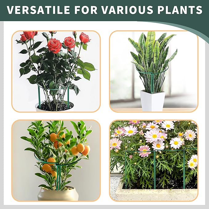 TCBWFY 10 Pack Plant Support Stakes for Peony,10" Widex16 High Heavy Duty Peony Cages and Support,Metal Peony Supports for Outdoor Indoor Plants,Plant Supports for Peony,Tomatoes,Hydrangea,Rose