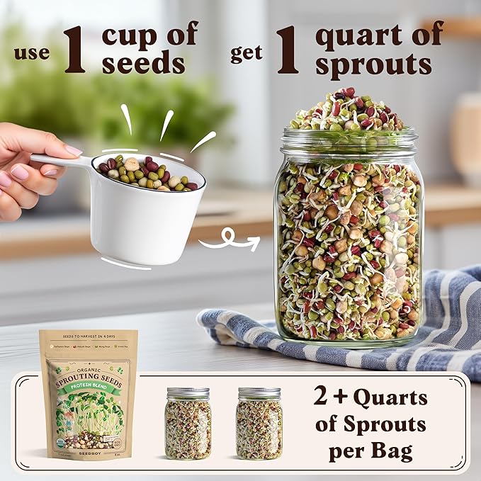 Seedboy Organic Sprouting Seeds Variety Pack - Two 8oz Bag Bundle - Superfood & Protein Blends, Non-GMO, USA-Grown Microgreens Mix, Makes 12 Quarts of Sprouts (36 Servings) (Superfood/Protein)