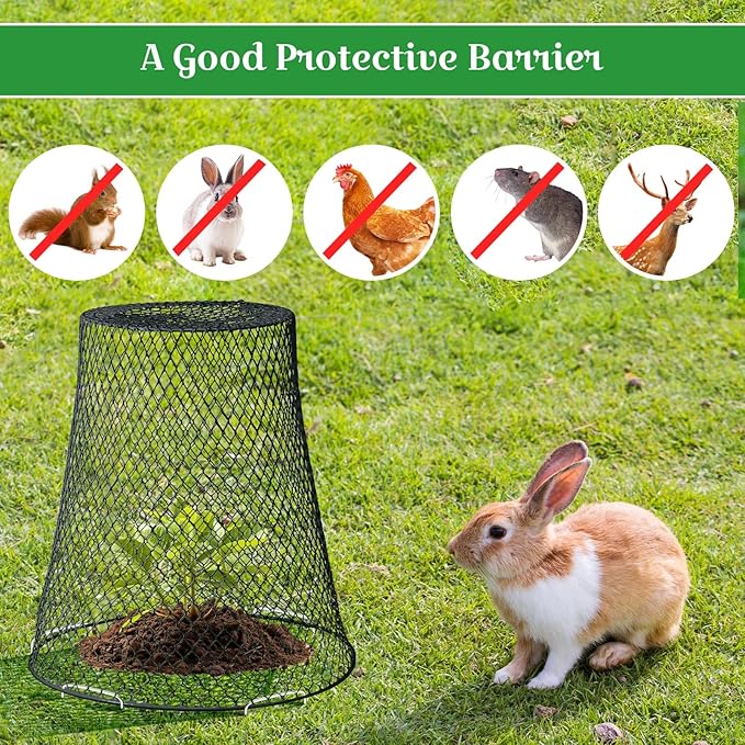 Therwen 6 Pcs Large Chicken Wire Cloche Plant Protector Cover 11x12 Inch Metal Garden Cloche Dome for Plants Wire Protection Basket with Garden Stakes Plant Cages from Animals (Black)