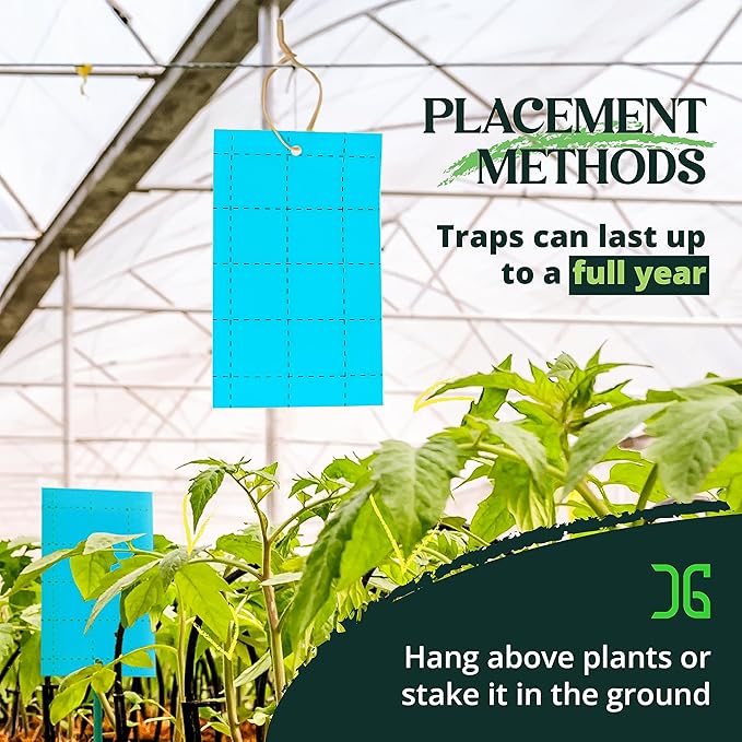 Catchmaster GRO Blue Regular Double Sided Sticky Traps 72PK, Adhesive Bug & Fruit Fly Trap, Pest Control for Home, Farm, Garden, Hydroponics & Greenhouse, Protect Live Plants Indoor & Outdoor