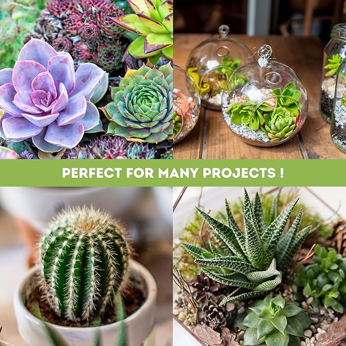 3FT LED Succulent Terrarium Plant Grow Light Linkable Full Spectrum Daylight with Enhanced 660nm Red and 450nm Blue LightTech Indoor Lighting Fixture (3 FT)