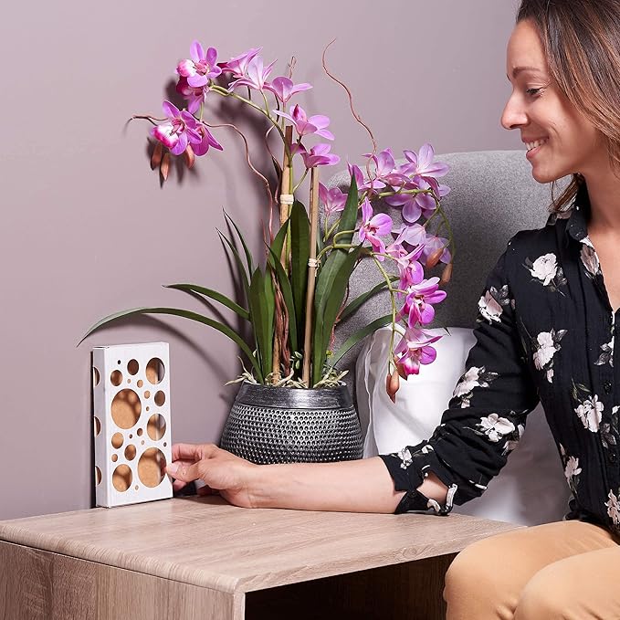 Clothes Moth Traps + Replacement Strips (9 Strips in Total) - Traps & Refills for MothPrevention Moth Traps - for Closets & Clothing