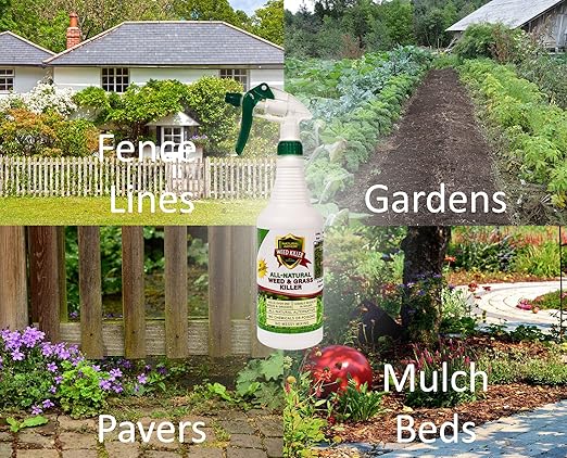 Natural Armor Weed and Grass Killer All-Natural Concentrated Formula. Contains No Glyphosate (320 OZ. 2.5 Gallon)