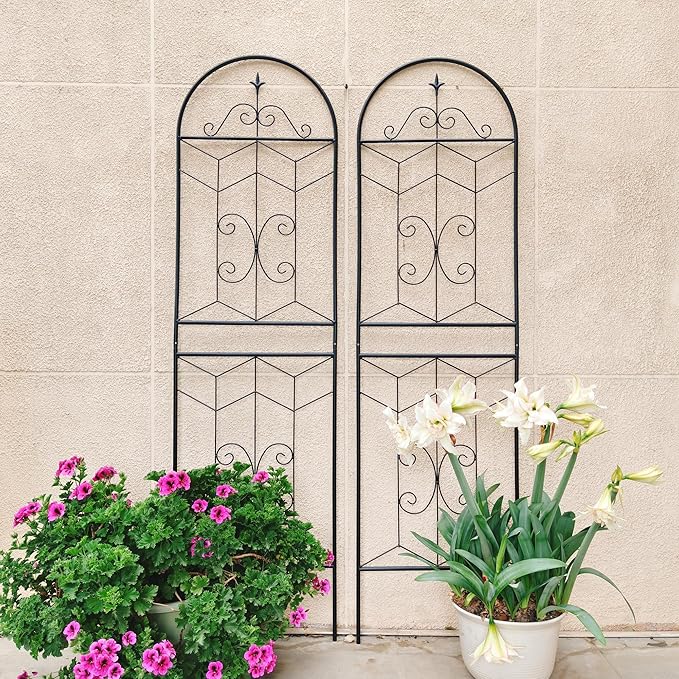 4 Pack 71x20in Garden Trellises with Black Metal Coating, Trellis for Climbing Plants Outdoor, Roses, Vines, Flowers, and Vegetables.