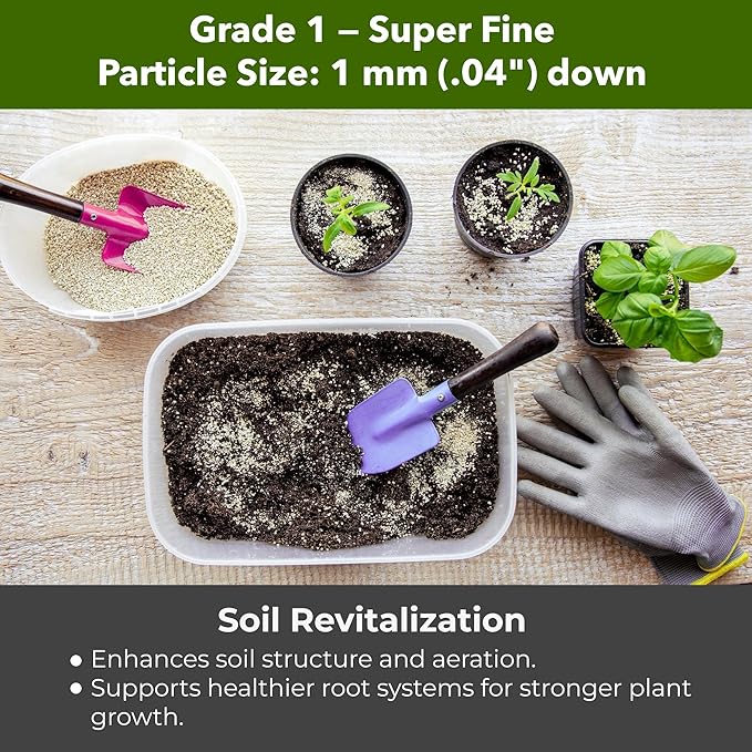 Organic Superfine Vermiculite for Indoor Gardening Plants and Mushrooms – Enhances Soil Aeration, Seed Germination, Rooting Cuttings – Small Packages and Bulk (Vermiculite Grade 1 - Superfine, 30 qts)