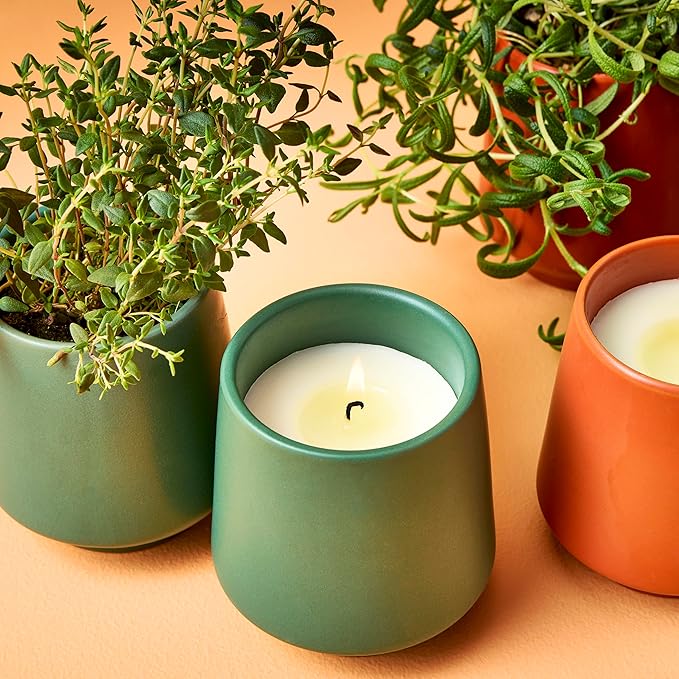 Modern Sprout Rooted Candle - 2 in 1 Tonka Bean Scented & Soy Candle with Seeds That Grows into Thyme Plant - 6 oz w/ 42 hr Burn time in Matte Glaze Ceramic Vessel Ideal for Indoor Herb Garden