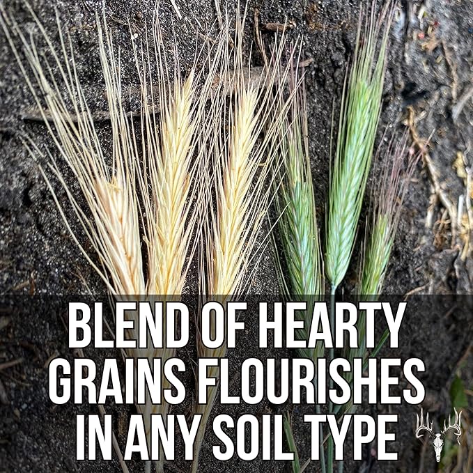Last Resort, 25LB Bulk Size, Food Plot Seed for Deer, Mix of Cereal Grain Rye, Wheat, Triticale, Barley, & Oats, Pheasant, Turkey, Dove, Wildlife & Whitetail Hunting Foodplots & Pasture